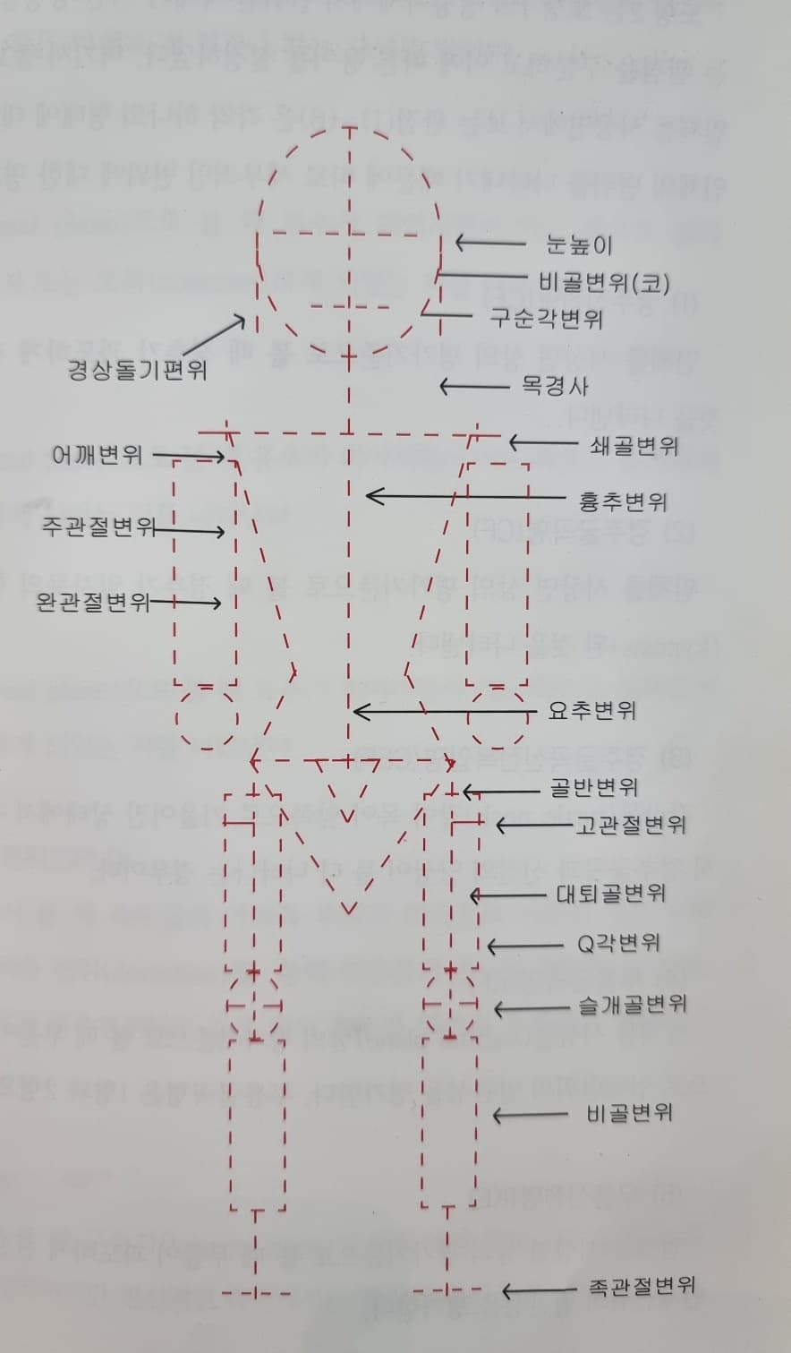눈높이부터 족관절까지 몸의 좌우 차이를 확인하는 지점들